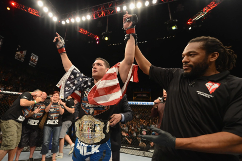 UFC 175: Weidman vs Machida poster