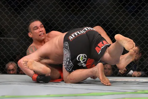 UFC 188: Velasquez vs Werdum poster