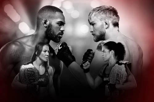UFC 232: Jones vs. Gustafsson 2 poster