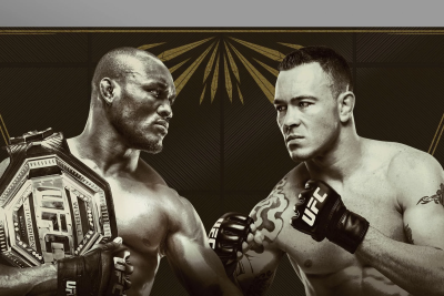 UFC 245: Usman vs. Covington poster