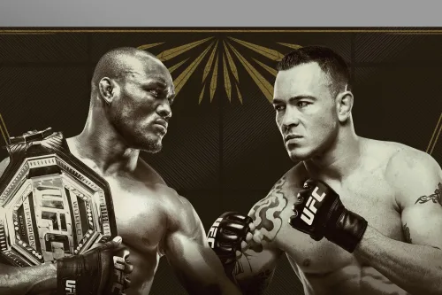 UFC 245: Usman vs. Covington poster
