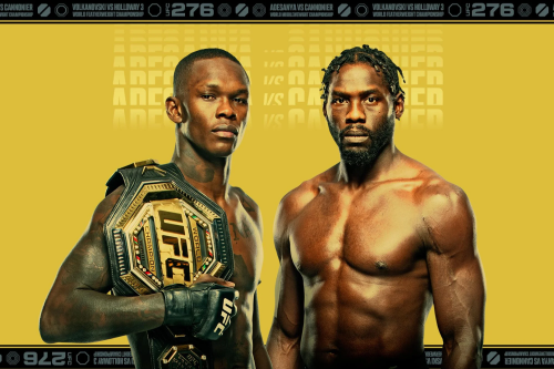 UFC 276: Adesanya vs. Cannonier poster