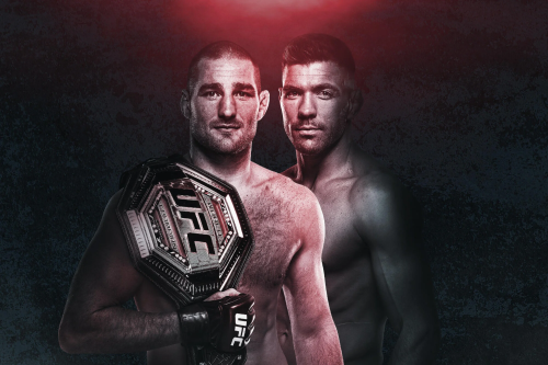 UFC 297: Strickland vs. Du Plessis poster
