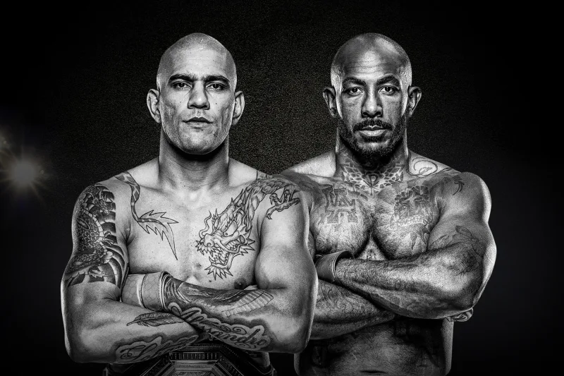 UFC 307: Pereira vs. Rountree Jr. poster