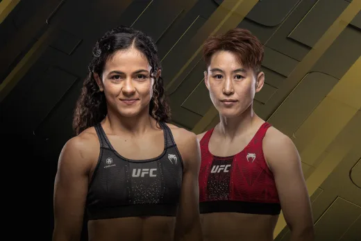 UFC 332: Silva vs. Wang poster