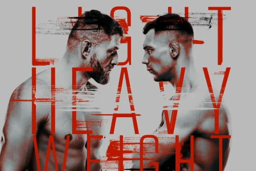 UFC Fight Night: Blachowicz vs. Rakic poster