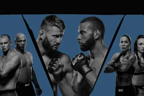 UFC Fight Night: Blachowicz vs. Santos poster