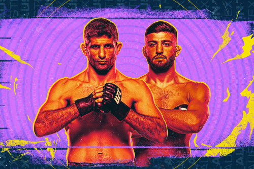 UFC Fight Night: Dariush vs. Tsarukyan poster