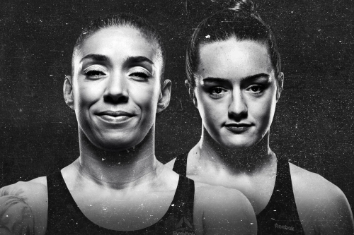 UFC Fight Night: De Randamie vs. Ladd poster