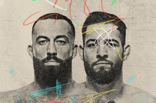 UFC Fight Night: Dolidze vs. Imavov poster