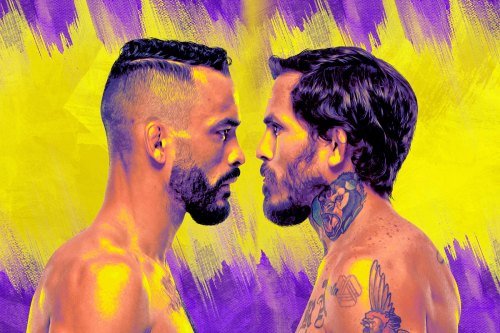 UFC Fight Night: Font vs. Vera poster