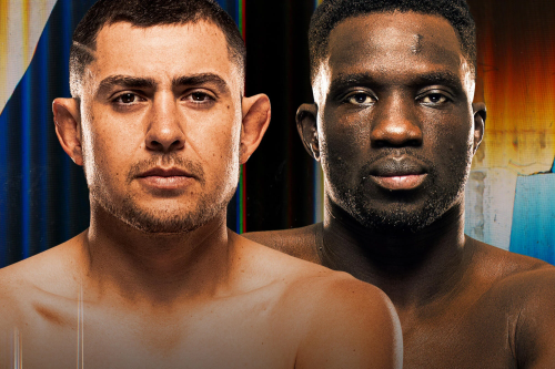 UFC Fight Night: Garcia vs. Onama poster