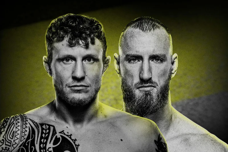 UFC Fight Night: Hermansson vs. Pyfer poster