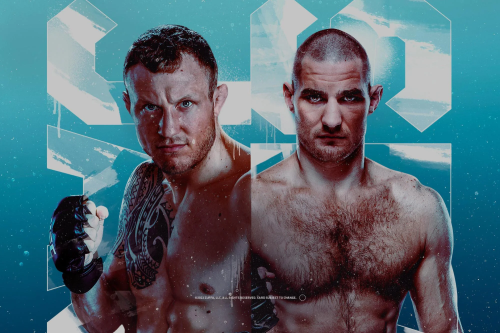 UFC Fight Night: Hermansson vs. Strickland poster