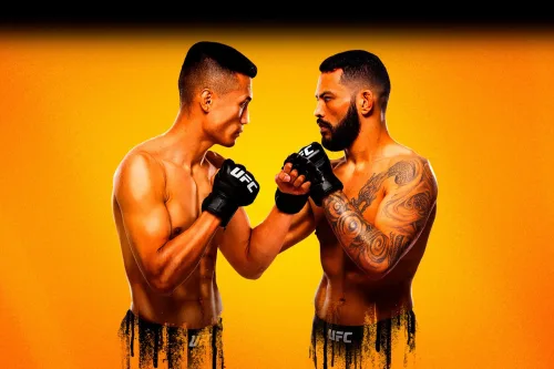 UFC Fight Night: Jung vs. Ige poster