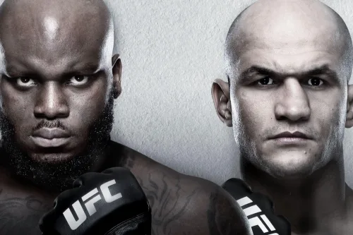 UFC Fight Night: Lewis vs. Dos Santos poster