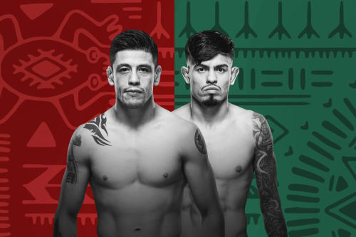 UFC Fight Night: Moreno vs. Royval 2 poster