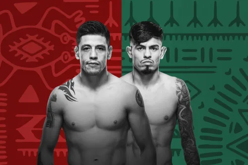 UFC Fight Night: Moreno vs. Royval 2 poster