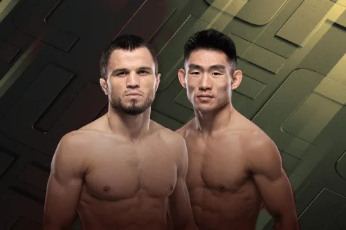 UFC Fight Night: Nurmagomedov vs. Song poster