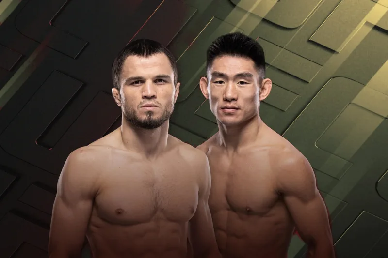 UFC Fight Night: Nurmagomedov vs. Song poster