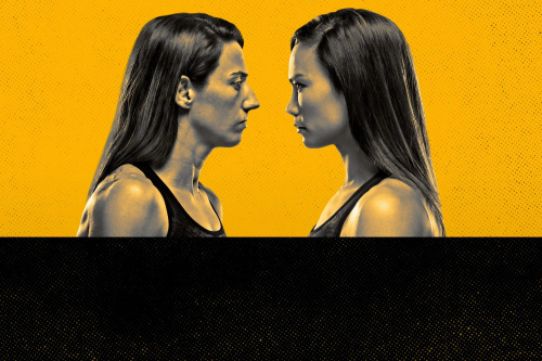UFC Fight Night: Rodriguez vs. Waterson poster
