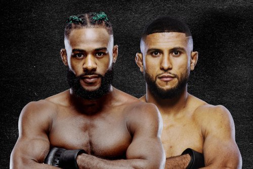 UFC Fight Night: Sterling vs. Zalal poster