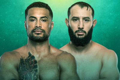 UFC Fight Night: Ulberg vs. Reyes poster