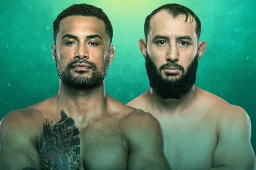UFC Fight Night: Ulberg vs. Reyes poster