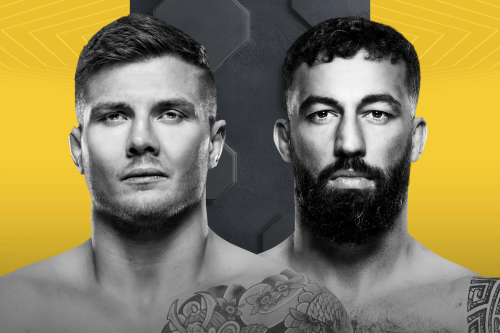 UFC Fight Night: Vettori vs. Dolidze 2 poster