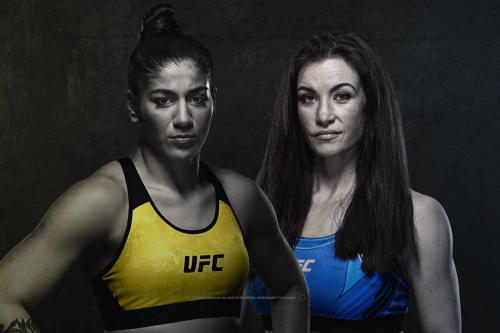 UFC Fight Night: Vieira vs. Tate poster