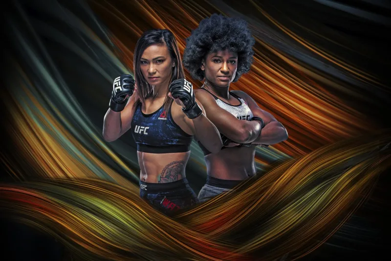 UFC Fight Night: Waterson vs. Hill poster