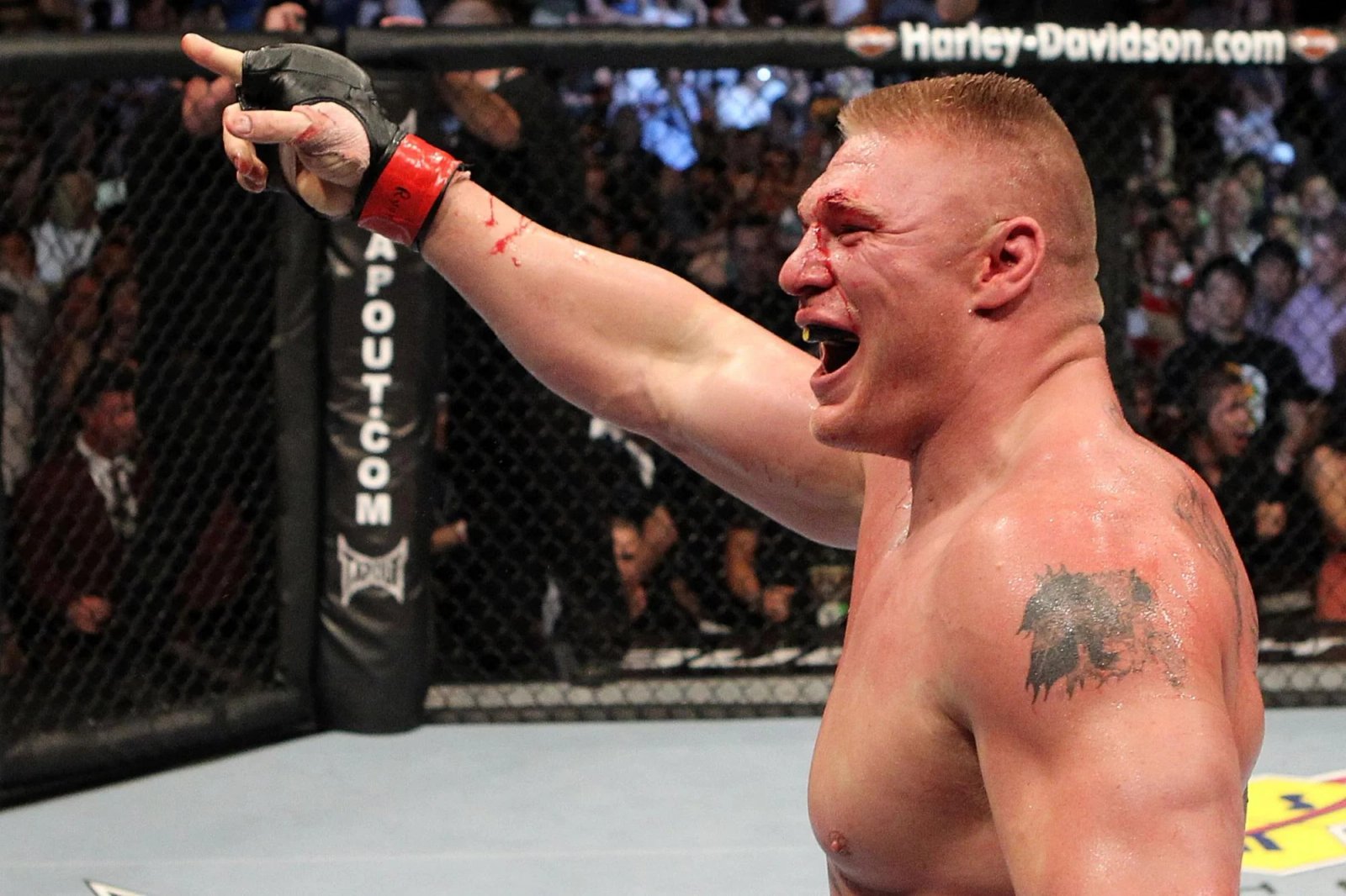UFC 116: Lesnar vs Carwin