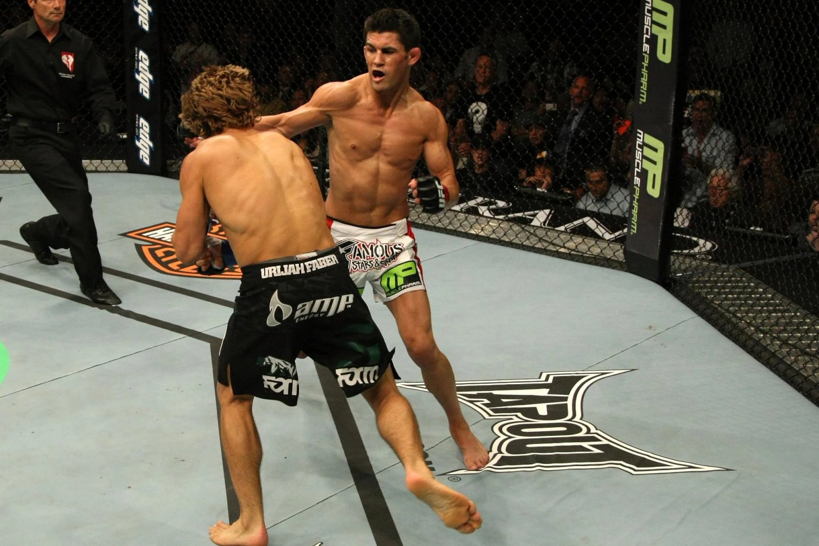 UFC 132: Cruz vs Faber