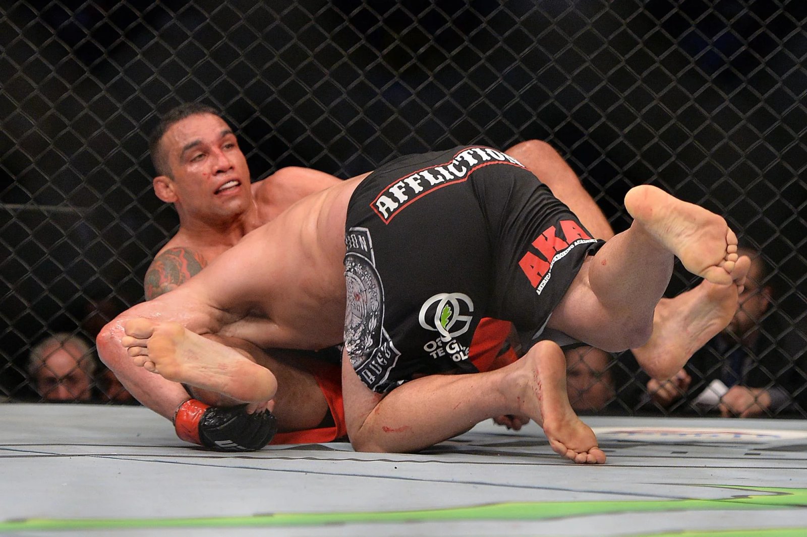 UFC 188: Velasquez vs Werdum