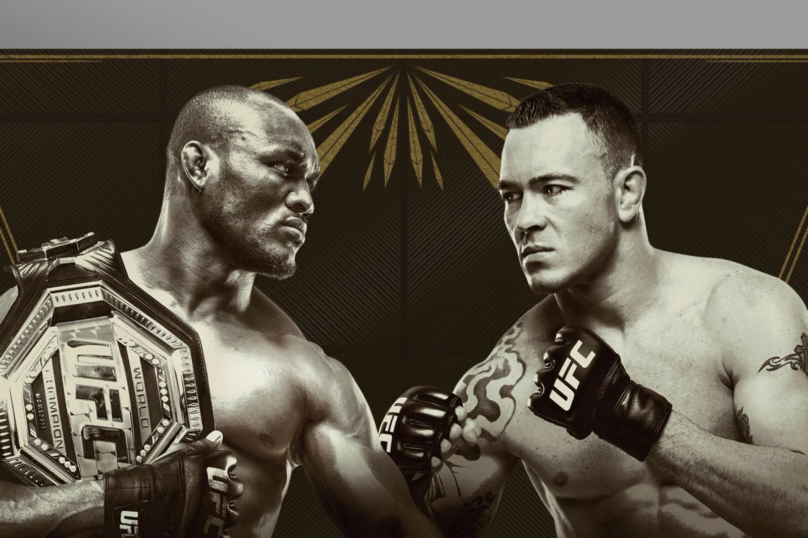 UFC 245: Usman vs. Covington