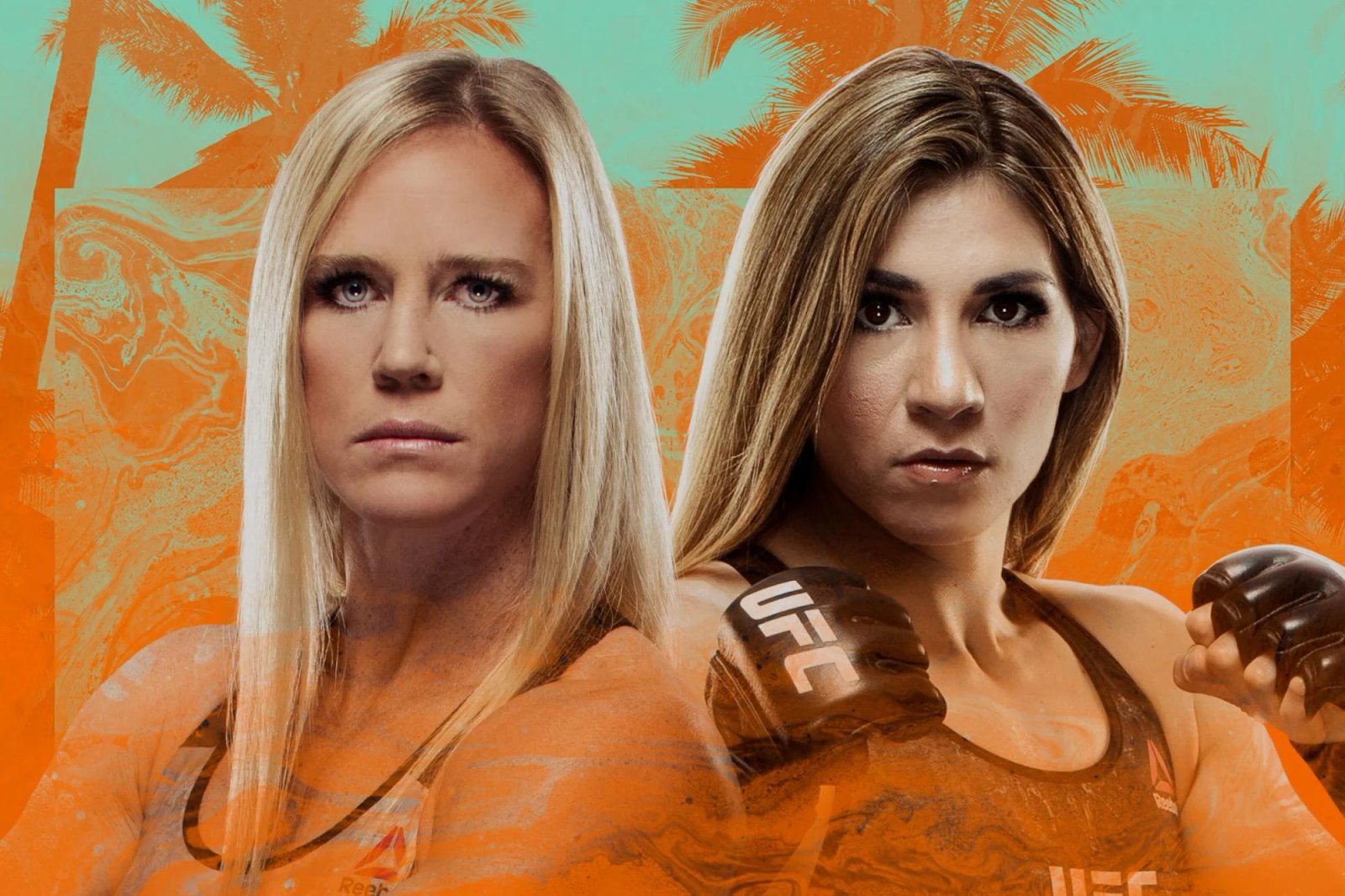 UFC Fight Night: Holm vs. Aldana poster