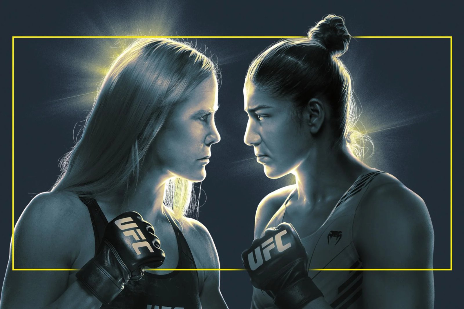 UFC Fight Night: Holm vs. Vieira poster