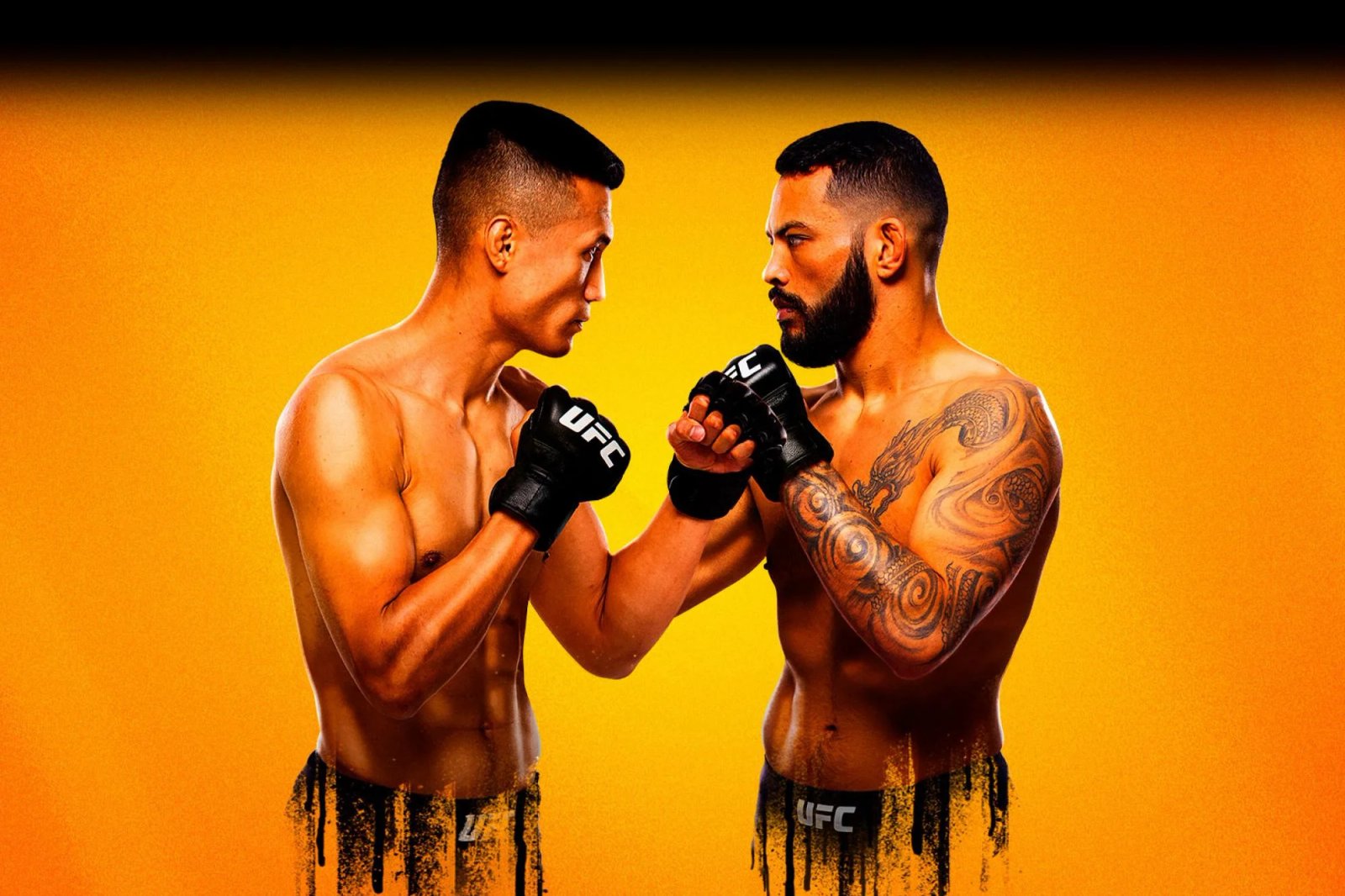 UFC Fight Night: Jung vs. Ige poster