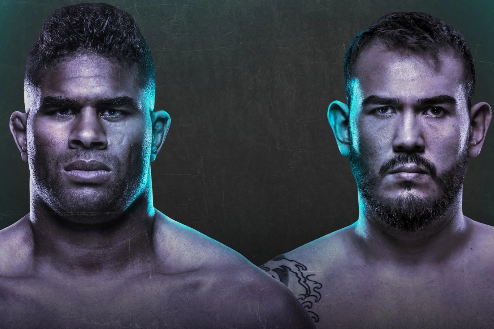 UFC Fight Night: Overeem vs. Sakai poster