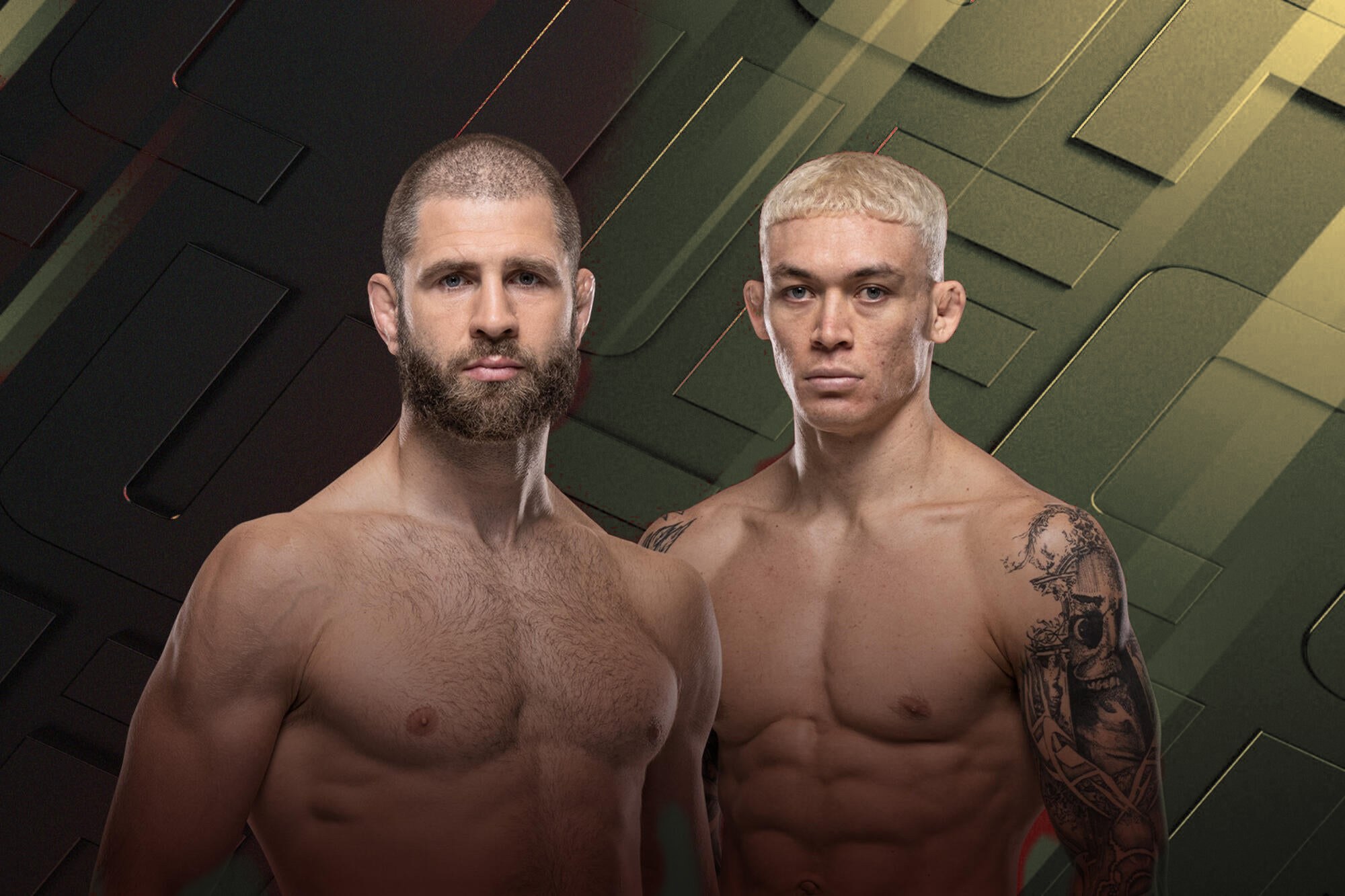 UFC Fight Night: Prochazka vs. Stirling poster