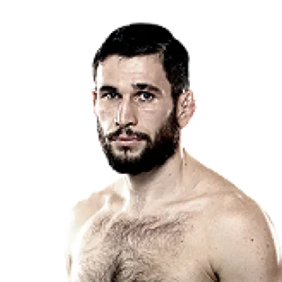 Amir Sadollah