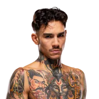 Andre Fili