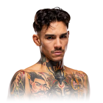 Andre Fili
