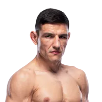 Damir Hadzovic
