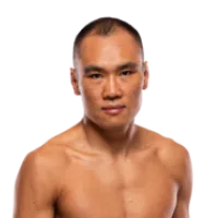 Ding Meng
