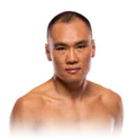 Ding Meng