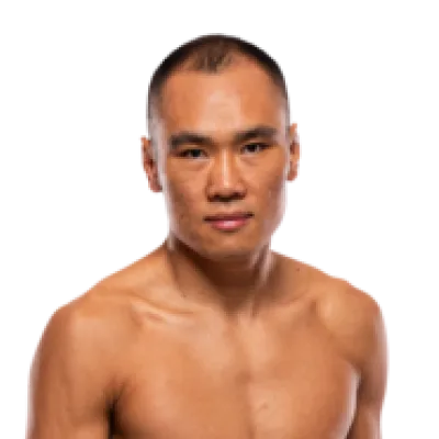 Ding Meng