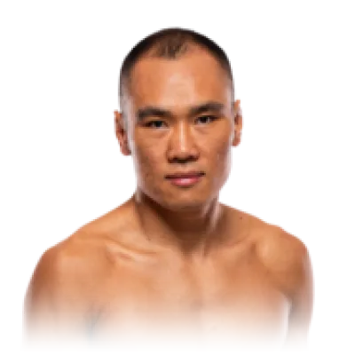 Ding Meng