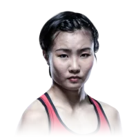 Feng Xiaocan