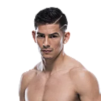 Michel Quinones